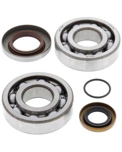 All Balls Racing Crank Shaft Bearing Kit 24-1112