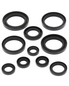 Vertex Oil Seal Kit 822237