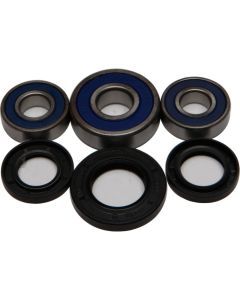 All Balls Rear Wheel Bearing Kit 25-1248