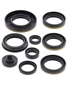 Vertex Oil Seal Kit 822227