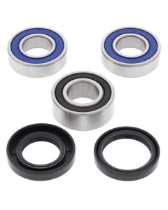 All Balls Racing Rear Wheel Bearing Kit 25-1419