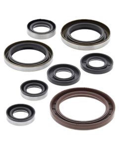 Vertex Oil Seal Kit 822364