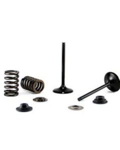 Bronco Exhaust Valve AU-09226E