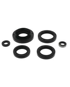QuadBoss Oil Seal Set - 822366