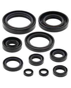 Vertex Oil Seal Kit 822114