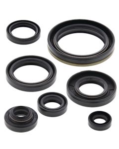 Vertex Oil Seal Kit 822134