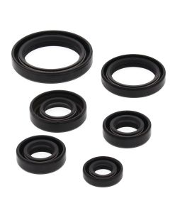 Vertex Oil Seal Kit 822241