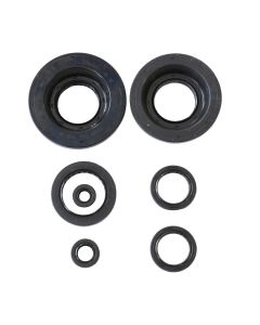 Athena Engine Oil Seal Kit P400210400199