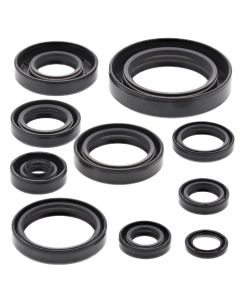 Vertex Oil Seal Kit 822182