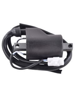 RMStator Ignition Coil RM06133