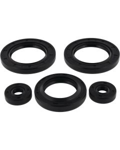 Vertex Oil Seal Kit 822142