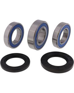 All Balls Racing Rear Wheel Bearing Kit 25-1039