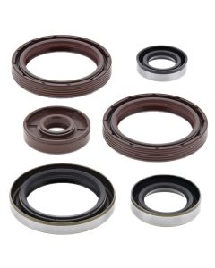 Vertex Oil Seal Kit 822360