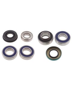 Lower Drive & Upper Jack Shaft Bearing & Seal Kit LEGEND TOURING V800 08-09