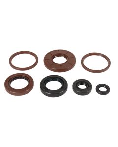 Vertex Oil Seal Kit 822384