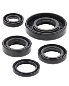 Vertex Oil Seal Kit 822222