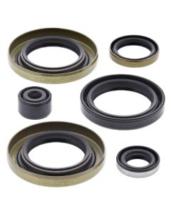 Vertex Oil Seal Kit 822300