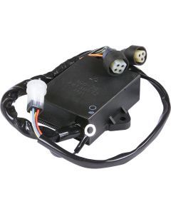 Ricks CDI Box 15-202