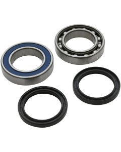 All Balls Drive Shaft Kit Lower-Track 14-1081