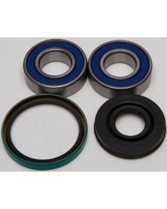 All Balls Drive Shaft Bearing and Seal Kit (Lower Shaft - Track) 14-1023