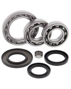 All Balls Racing Rear Differential Bearing And Seal Kit 25-2023