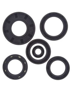 Vertex Oil Seal Kit 822251