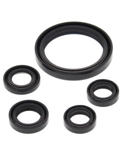 Vertex Oil Seal Kit 822350