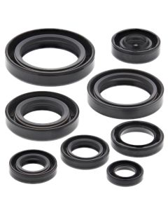 Vertex Oil Seal Kit 822106