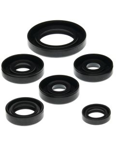 Vertex Oil Seal Kit 822203