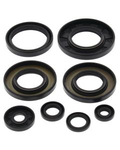 Vertex Oil Seal Kit 822349
