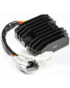 Ricks Hot Shot Series Rectifier-Regulator 10-250H