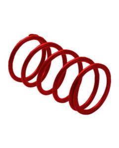 EPI BCS24 Erlandson Clutch Spring ,red