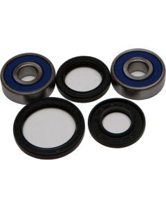 All Balls Front Wheel Bearing Kit 25-1310