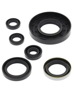 Vertex Oil Seal Kit 822262