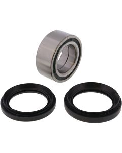 All Balls Racing Rear Wheel Bearing Kit 25-1480