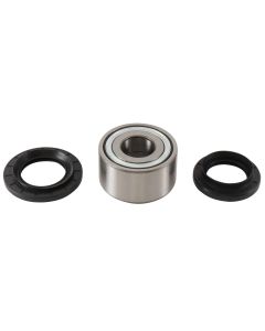 All Balls Racing Rear Wheel Bearing Kit 25-1734