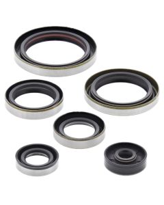 Vertex Oil Seal Kit 822269