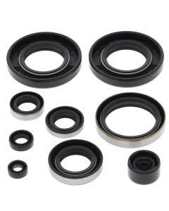 Vertex Oil Seal Kit 822282