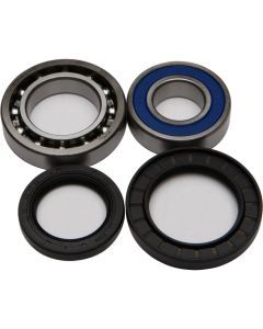 NEW ALL BALLS WHEEL BEARING AND SEAL KIT 25-1018