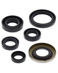 Vertex Oil Seal Kit 822278
