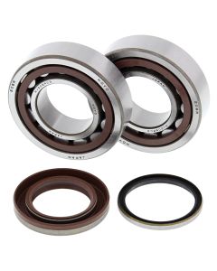 All Balls Racing Crank Shaft Bearing Kit 24-1105