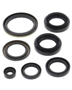 Vertex Oil Seal Kit 822239