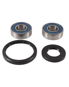 All Balls Wheel Bearing & Seal Kit For Kawasaki EX250F Ninja 250R 2008-2012 25-1743