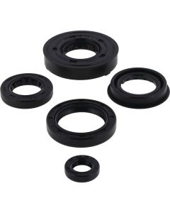 Vertex Oil Seal Kit 55191