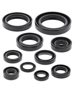 Vertex Oil Seal Kit 822265
