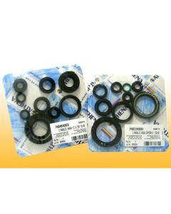 ATHENA P400250400137 COMPLETE ENGINE OIL SEAL KIT