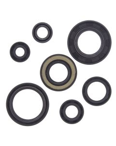 Vertex Oil Seal Kit 822153