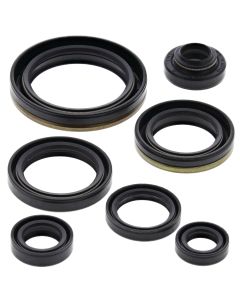 Vertex Oil Seal Kit 822127