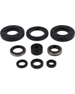 Vertex Oil Seal Kit 822292