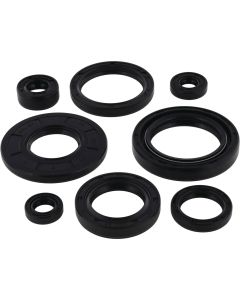 Vertex Oil Seal Kit 822158